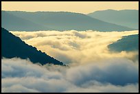 Fog-filled gorge and sunrise. New River Gorge National Park and Preserve ( color)