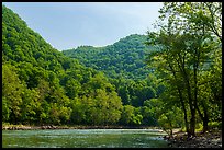 Grandview Point from Grandview Sandbar. New River Gorge National Park and Preserve ( color)