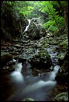 Falls of the Rose river. Shenandoah National Park, Virginia, USA.