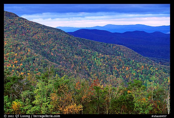 Hillsides in autumn. Shenandoah National Park (color)