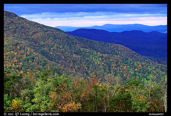 Hillsides in autumn. Shenandoah National Park, Virginia, USA.