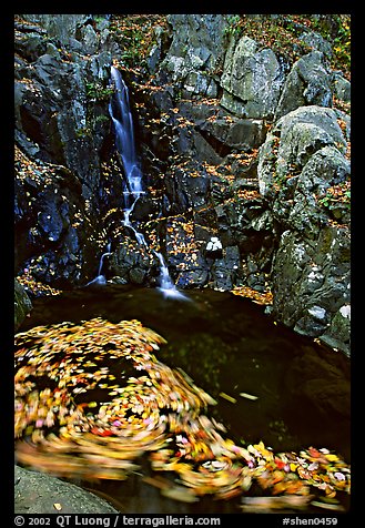 Spining leaves and cascade. Shenandoah National Park, Virginia, USA.