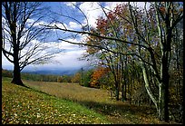 Meadow Overlook in fall. Shenandoah National Park, Virginia, USA.