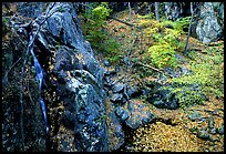 Waterfall of the Rose River  and autumn color. Shenandoah National Park, Virginia, USA.