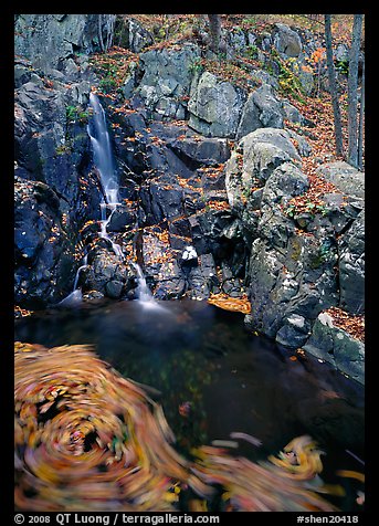 Cascade and circle of fallen leaves in motion. Shenandoah National Park, Virginia, USA.