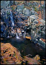 Cascade and circle of fallen leaves in motion. Shenandoah National Park, Virginia, USA. (color)