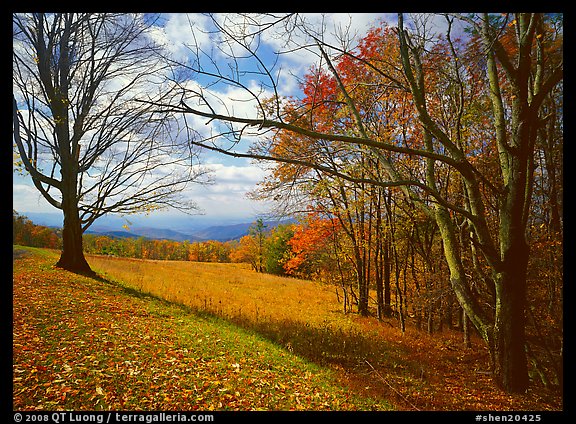 Meadow Overlook in fall. Shenandoah National Park (color)