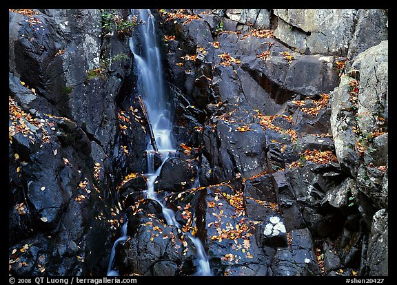 Stream cascading over dark rock in autumn. Shenandoah National Park, Virginia, USA.