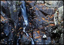 Stream cascading over dark rock in autumn. Shenandoah National Park, Virginia, USA. (color)