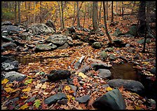 Pictures of Shenandoah