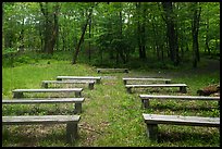 Amphitheater, Matthews Arm Campground. Shenandoah National Park ( color)