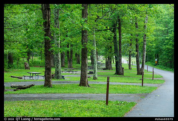 Matthews Arm Campground. Shenandoah National Park, Virginia, USA.