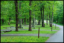 Matthews Arm Campground. Shenandoah National Park ( color)