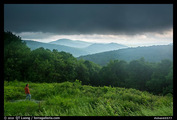 Visitor looking, Thornton Hollow Overlook. Shenandoah National Park (color)