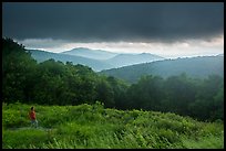 Visitor looking, Thornton Hollow Overlook. Shenandoah National Park ( color)