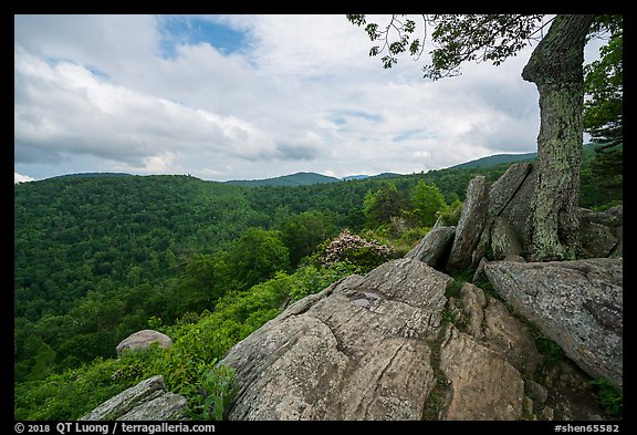 Rocky outcrop, Hazel Mountain Overlook. Shenandoah National Park (color)