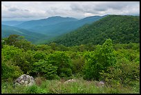 Jewell Hollow Overlook in spring. Shenandoah National Park ( color)