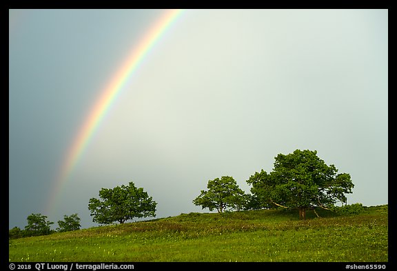 Rainbow and trees in full leaves, Big Meadows. Shenandoah National Park (color)