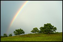 Rainbow and trees in full leaves, Big Meadows. Shenandoah National Park ( color)