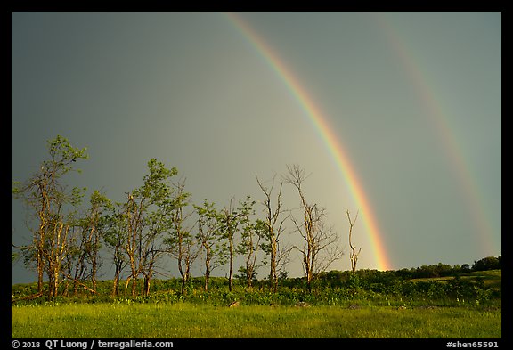 Double rainbow and trees, Big Meadows. Shenandoah National Park (color)