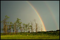 Double rainbow and trees, Big Meadows. Shenandoah National Park ( color)