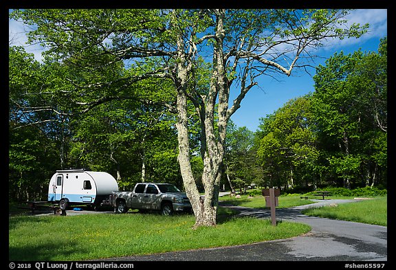 Big Meadows Campground. Shenandoah National Park (color)