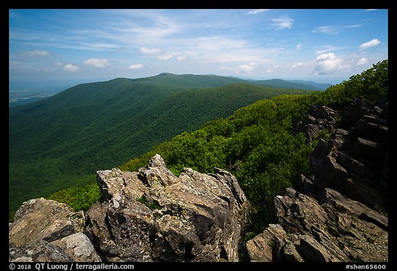 View from Hawksbill Mountain. Shenandoah National Park (color)