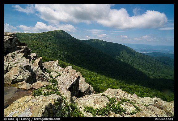 Crescent Rock and Hawksbill Mountain. Shenandoah National Park (color)