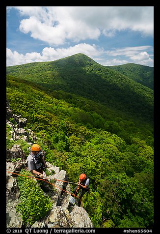 Rangers rappelling on Crescent Rock cliff. Shenandoah National Park (color)