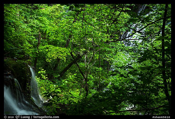 Waterfalls left and right in Whiteoak Canyon. Shenandoah National Park (color)