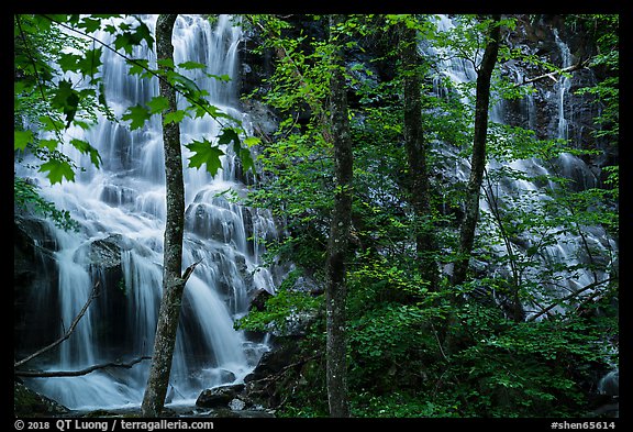 Middle Whiteoak falls. Shenandoah National Park (color)