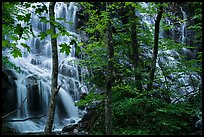 Middle Whiteoak falls. Shenandoah National Park ( color)