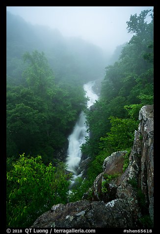 Upper Whiteoak falls in fog. Shenandoah National Park (color)