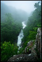 Upper Whiteoak falls in fog. Shenandoah National Park ( color)