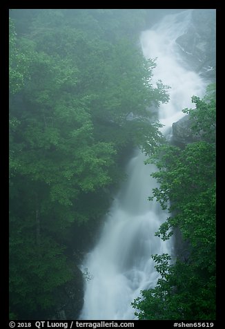 Upper Whiteoak falls in mist. Shenandoah National Park (color)