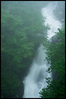 Upper Whiteoak falls in mist. Shenandoah National Park ( color)