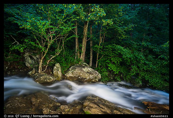 Cascades of the Robinson River at dusk. Shenandoah National Park (color)