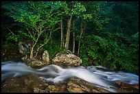 Cascades of the Robinson River at dusk. Shenandoah National Park ( color)