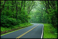 Skyline drive in springtime. Shenandoah National Park ( color)