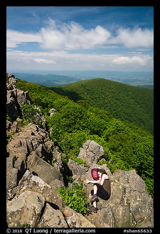 Nap on Hawksbill Mountain. Shenandoah National Park (color)