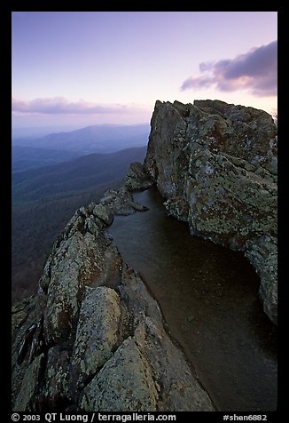 Rainwater pool, Little Stony Man, sunrise. Shenandoah National Park, Virginia, USA.