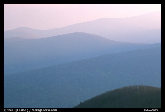 Hazy ridges, sunrise. Shenandoah National Park (color)
