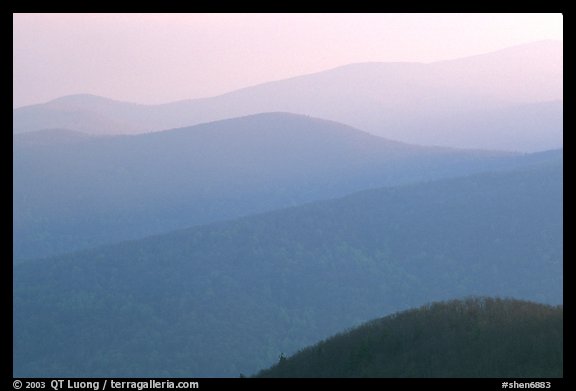 Hazy ridges, sunrise. Shenandoah National Park, Virginia, USA.