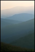 Receding ridges seen from Little Stony Man, sunrise. Shenandoah National Park ( color)