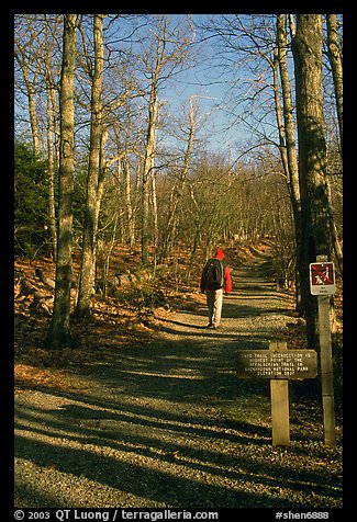 Backpacker on the Appalachian Trail. Shenandoah National Park, Virginia, USA.