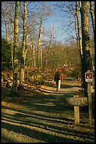 Backpacker on the Appalachian Trail. Shenandoah National Park, Virginia, USA. (color)