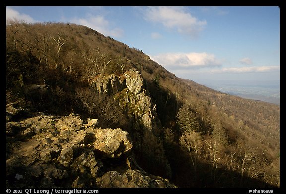 Rocky outcrop, Little Stony Man, early morning. Shenandoah National Park (color)