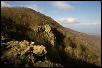 Rocky outcrop, Little Stony Man, early morning. Shenandoah National Park, Virginia, USA.