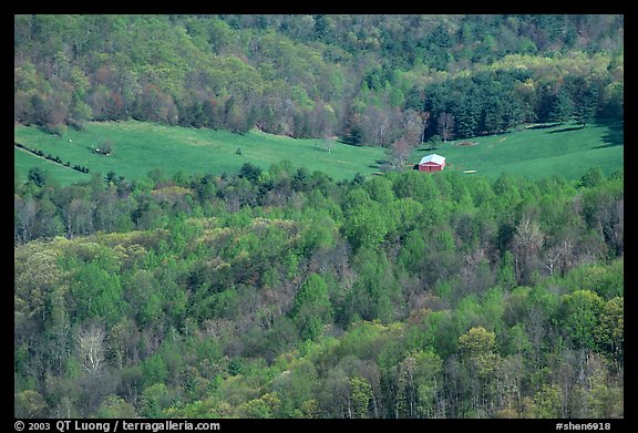 Barn in a meadow. Shenandoah National Park, Virginia, USA.