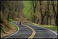 Bicyclist on Skyline drive. Shenandoah National Park, Virginia, USA.